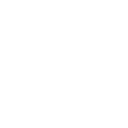 VetPro Feucht GmbH - Tierarztpraxis für Kleintiere - Pfeil oben